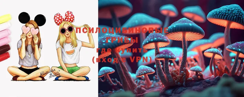 Галлюциногенные грибы Magic Shrooms  blacksprut зеркало  Купино 